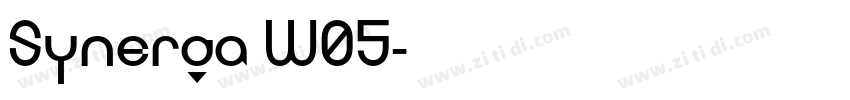 Synerga W05字体转换